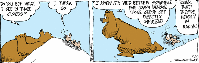 grizzwells